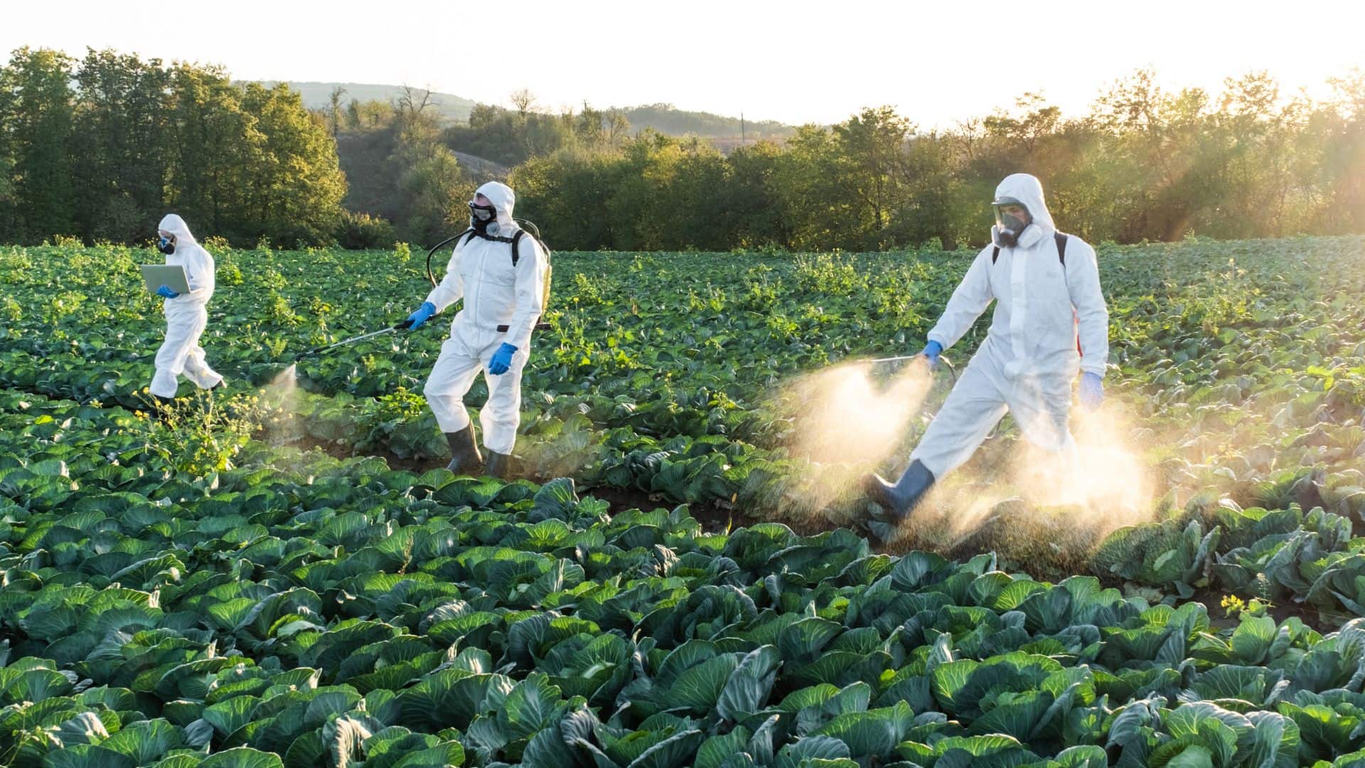  Pesticides : contrer la contamination généralisée de l’environnement