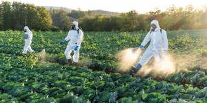  Pesticides : contrer la contamination généralisée de l’environnement