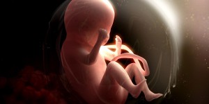  Enfant à naître : la pollution commence dès la grossesse