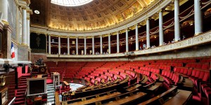 Législatives: France Nature Environnement évalue les promesses pour la biodiversité