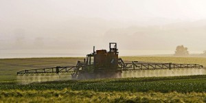  Pesticides : les nouvelles chartes « de bon voisinage » restent insuffisantes