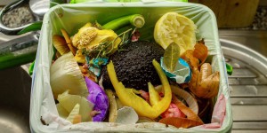  Compost domestique : n’y mettez aucun plastique, même compostable !