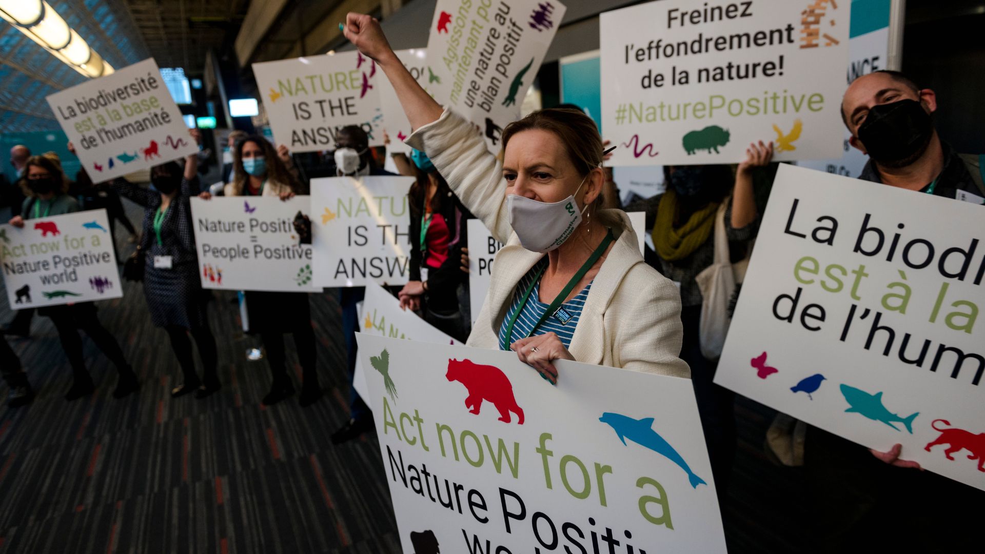  COP15 biodiversité : « Nous avons déjà perdu trop de temps », alerte l’UICN