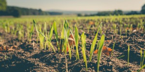 Où s’installer en agriculture bio en 2023 ?