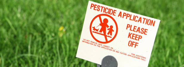 Lien entre pesticides et santé : l'Efsa reste prudente mais...