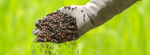 Nitrates : le ministère de l'Agriculture propose de combiner les gains écologiques et économiques