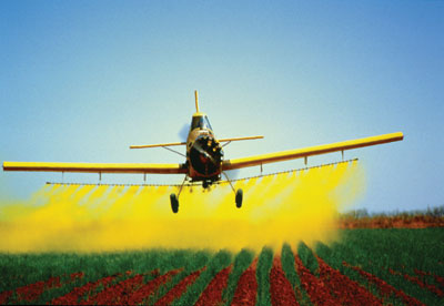 Pesticides : de nouvelles autorisations de mise sur le marché en consultation