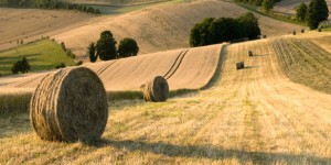 Agriculture : les grandes lignes du projet de loi d'avenir ont été présentées