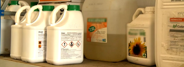 Ecophyto : première baisse du recours aux pesticides en 2012