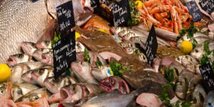 Pêche profonde : un meilleur encadrement des pratiques mais pas d'interdiction en Europe