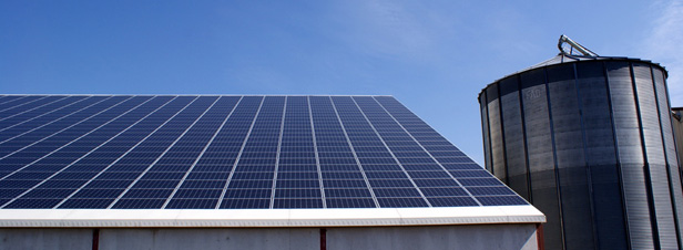Raccordement photovoltaïque : le manquement d'ERDF reconnu par la Cour de cassation
