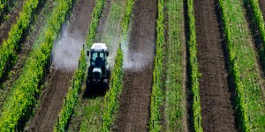 Pesticides : le processus de création des certificats d'économie est lancé