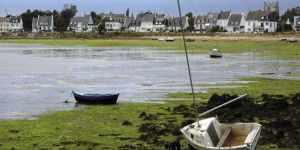 Nitrates : la Bretagne adopte son nouveau programme d'actions