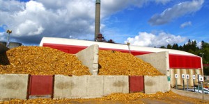 Chaufferie biomasse : le fonds chaleur, bon pour l'économie française