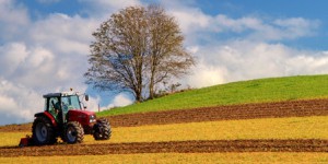 Loi d'avenir agricole : vers une évolution sensible des pratiques de protection des cultures