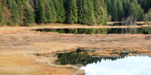 Zones humides : un troisième plan d'action pour tenter de les protéger