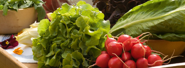 Les fruits et légumes bio plus riches en antioxydants, selon une étude scientifique