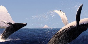 La chasse scientifique du Japon sous la loupe de la Commission baleinière internationale