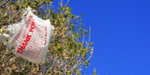 Controverse houleuse sur l'interdiction des sacs en plastique en Europe