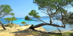 Parc national de Port-Cros : l'Ae pointe l'enjeu de l'impact des activités touristiques