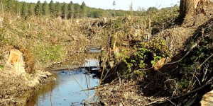 Sivens, un projet de nature à empêcher le bon état écologique du cours d'eau, selon l'UE