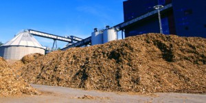 Des innovations sont nécessaires pour que la biomasse reste rentable