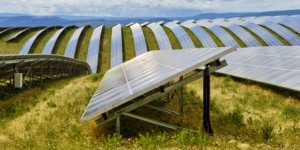 Centrales solaires de grande puissance : 212 projets sont retenus