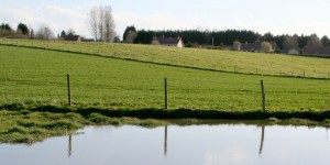Pollution de l'eau : les pistes pour réduire les impacts de l'agriculture