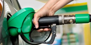 Biocarburants durables : la Cour des comptes européenne tacle les critères d'évaluation