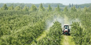 Victimes des pesticides : un projet de loi ébauche le futur fonds d'indemnisation