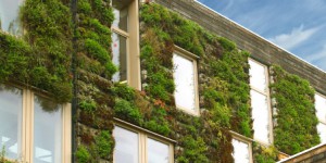La biodiversité, nouvel enjeu du bâtiment durable
