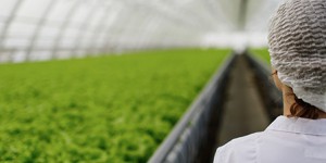 Agriculture : l'Inra actualise son programme de recherche