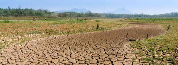 COP 22 : un petit pas vers la prise en compte de l'eau