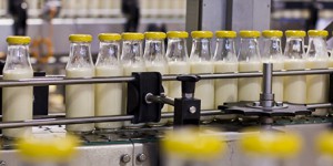 La réglementation ICPE applicable à l'industrie de l'industrie laitière va être allégée