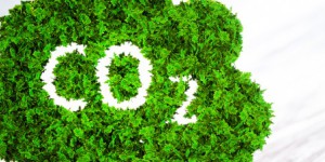 Réduction des émissions de CO2 : la France accumule du retard