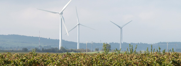 Loire-Atlantique : les citoyens invités à devenir copropriétaires du parc éolien de la Renardière