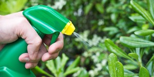 L'interdiction des pesticides en vente-libre aux particuliers peinerait à être appliquée