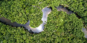 Le Brésil abroge le décret d'exploitation minière d'une réserve d'Amazonie