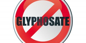Le gouvernement prépare un plan de sortie du glyphosate