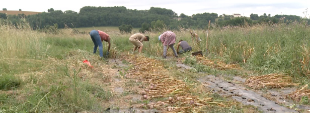 [VIDEO] Quel avenir pour une agriculture locale et biologique en France ?