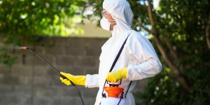Glyphosate : le Parlement européen va enquêter sur le système d'autorisation des pesticides