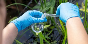 Analyse des eaux : la procédure d'agrément des laboratoires en consultation