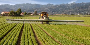 Pesticides : le Sénat adopte la proposition de loi créant un fonds d'indemnisation des victimes