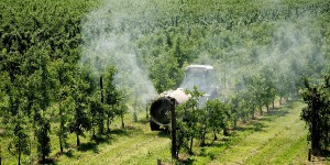 Pollution de l'air : vers de premières mesures dans le secteur agricole