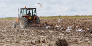 Pourquoi les agriculteurs n'arrivent pas à réduire leurs émissions de GES