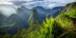 La Réunion annonce la création d'une agence régionale de la biodiversité