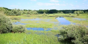 Une vaste évaluation française pointe la dégradation des milieux humides