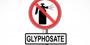 Interdiction du glyphosate : le gouvernement se dit prêt à soutenir une proposition de loi