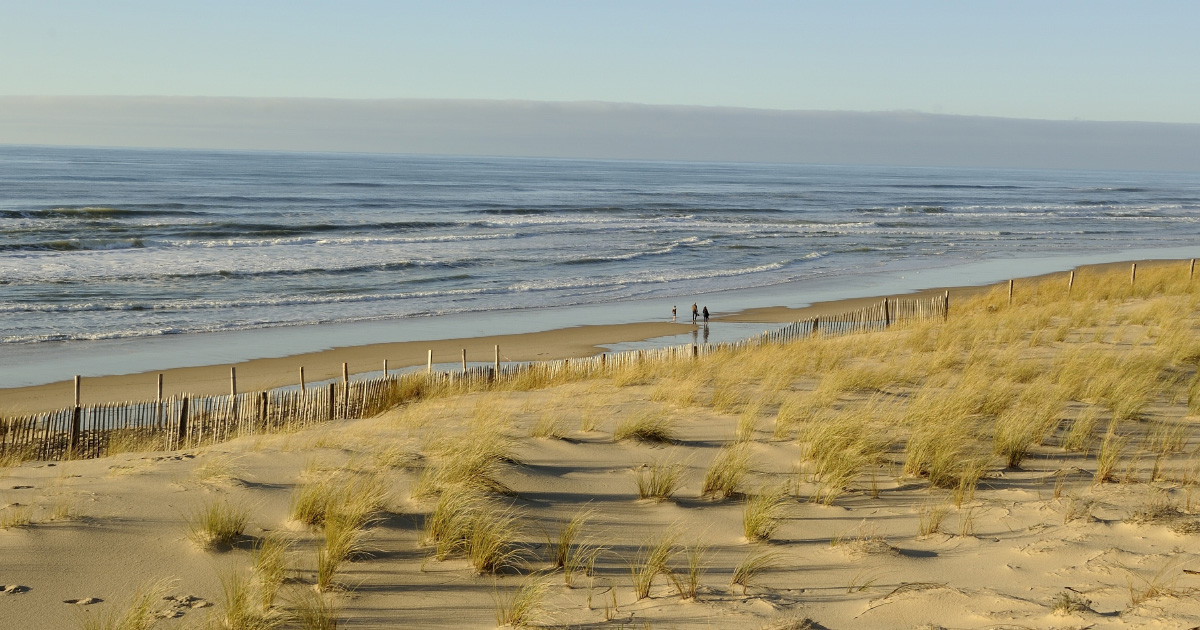 Recul du trait de côte : les dunes sont la protection la moins coûteuse et la plus efficace à long terme