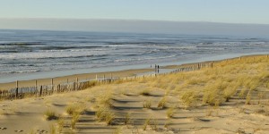 Recul du trait de côte : les dunes sont la protection la moins coûteuse et la plus efficace à long terme